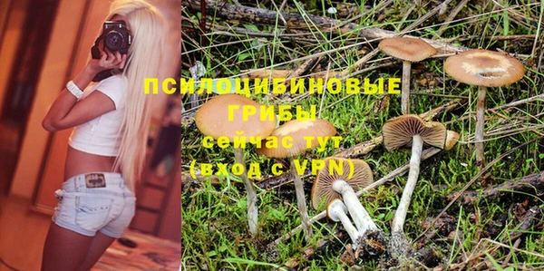 герыч Лагань
