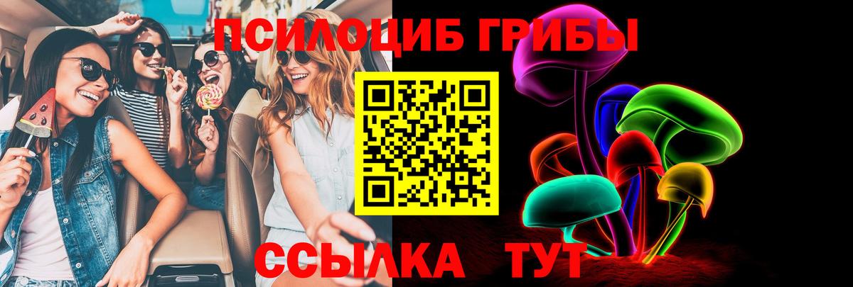 Галлюциногенные грибы Cubensis  Вход с VPN  Старая Русса 