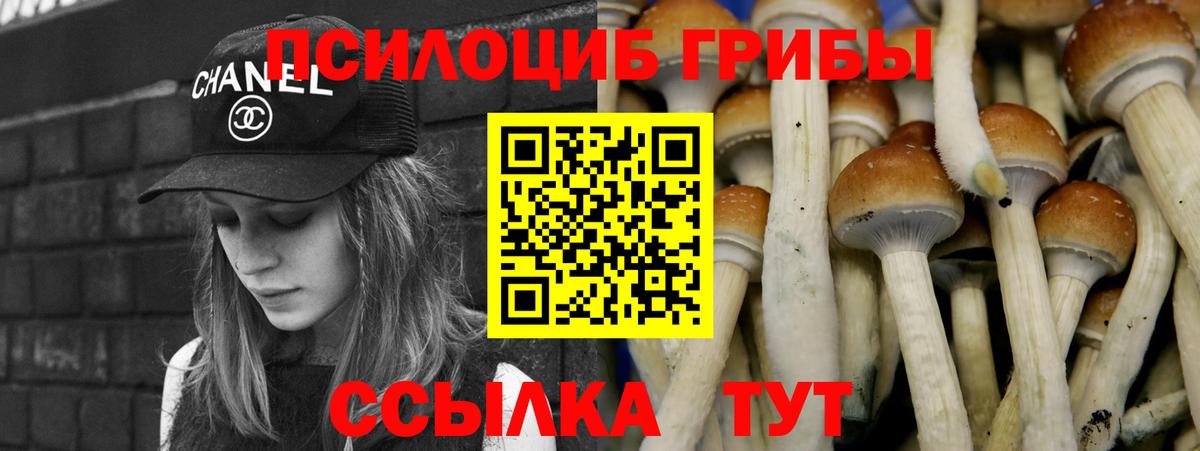 Псилоцибиновые грибы GOLDEN TEACHER Старая Русса